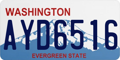 WA license plate AYD6516