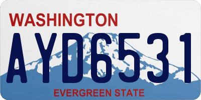 WA license plate AYD6531
