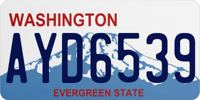 WA license plate AYD6539