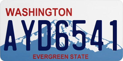 WA license plate AYD6541