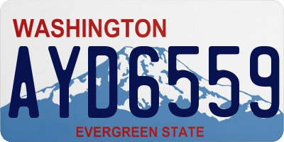 WA license plate AYD6559