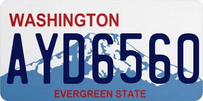 WA license plate AYD6560