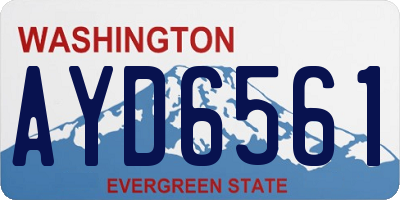 WA license plate AYD6561