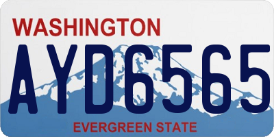 WA license plate AYD6565