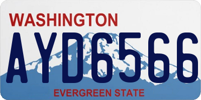 WA license plate AYD6566