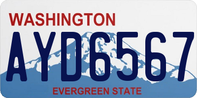 WA license plate AYD6567