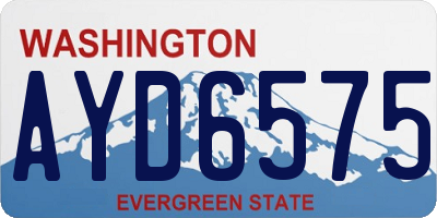WA license plate AYD6575