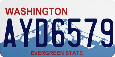 WA license plate AYD6579