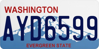 WA license plate AYD6599