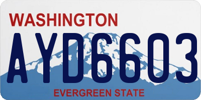 WA license plate AYD6603