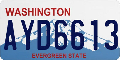 WA license plate AYD6613