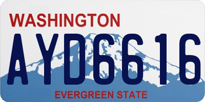WA license plate AYD6616