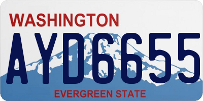 WA license plate AYD6655
