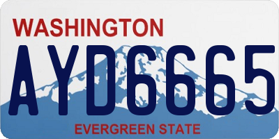 WA license plate AYD6665