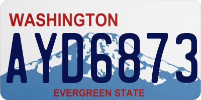WA license plate AYD6873