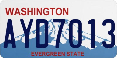 WA license plate AYD7013