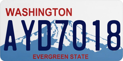 WA license plate AYD7018