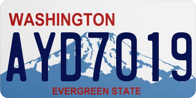 WA license plate AYD7019