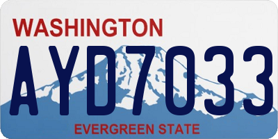 WA license plate AYD7033