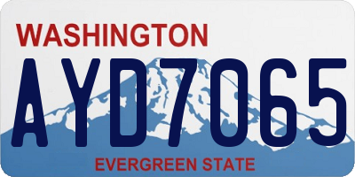 WA license plate AYD7065