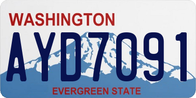 WA license plate AYD7091