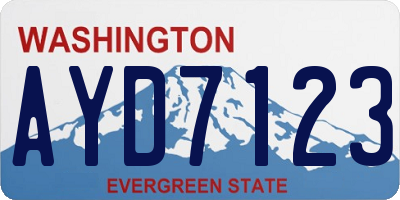 WA license plate AYD7123
