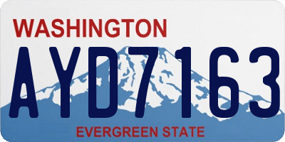 WA license plate AYD7163
