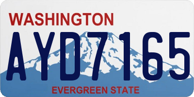 WA license plate AYD7165