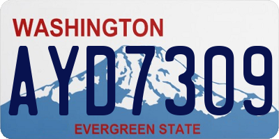WA license plate AYD7309