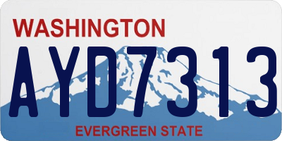 WA license plate AYD7313
