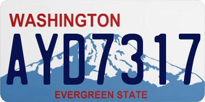 WA license plate AYD7317