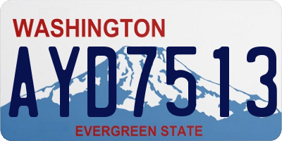 WA license plate AYD7513