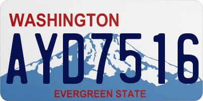 WA license plate AYD7516