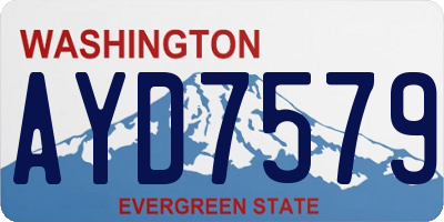 WA license plate AYD7579