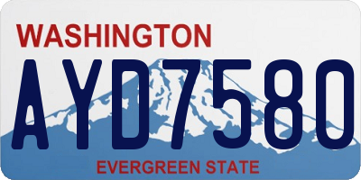 WA license plate AYD7580