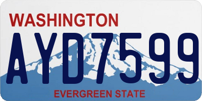 WA license plate AYD7599