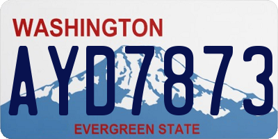 WA license plate AYD7873