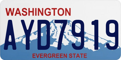 WA license plate AYD7919