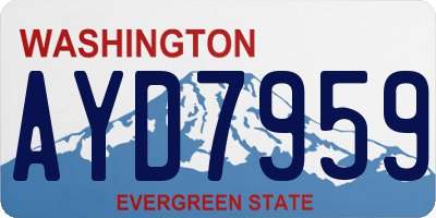 WA license plate AYD7959