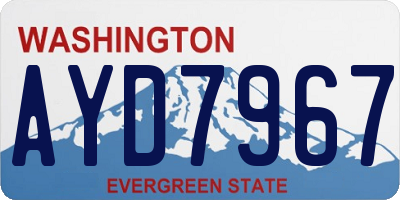WA license plate AYD7967