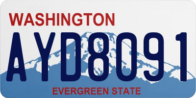 WA license plate AYD8091