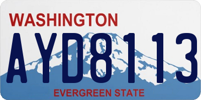 WA license plate AYD8113