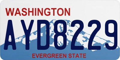 WA license plate AYD8229