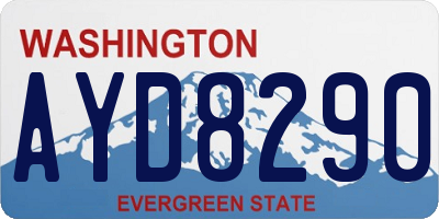 WA license plate AYD8290