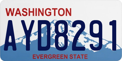 WA license plate AYD8291