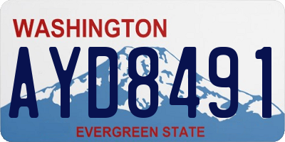 WA license plate AYD8491