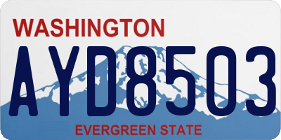 WA license plate AYD8503