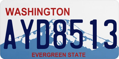 WA license plate AYD8513