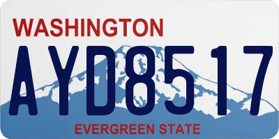WA license plate AYD8517