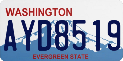 WA license plate AYD8519